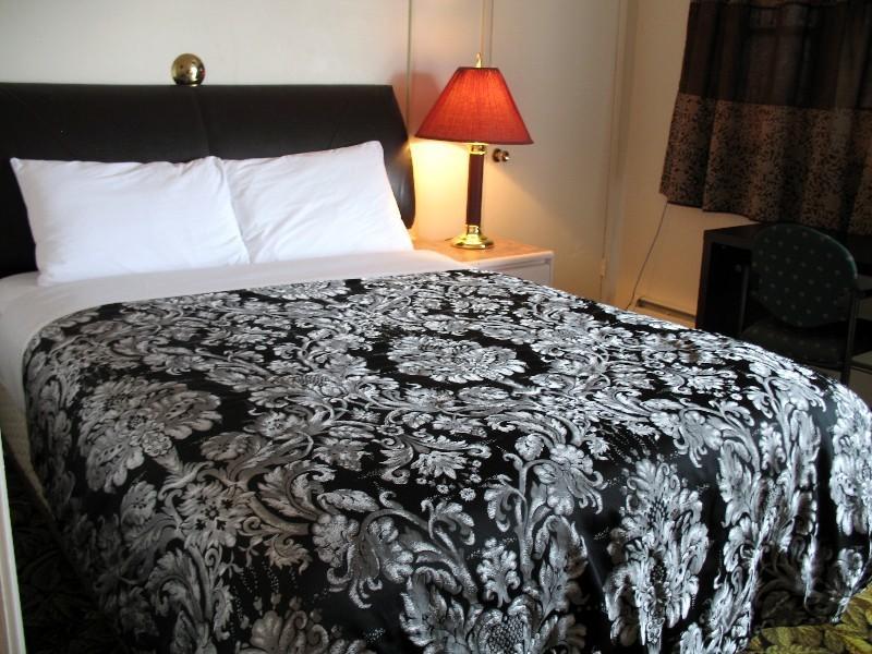 Stardust Motel Shaunavon Rom bilde